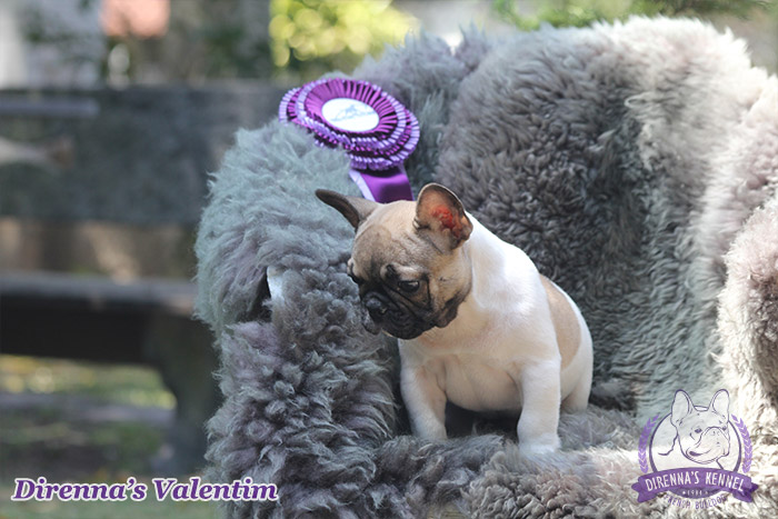 valentim992