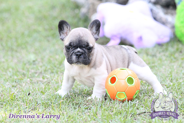 larry1