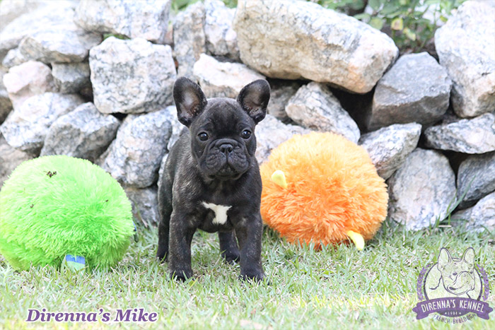 mike1