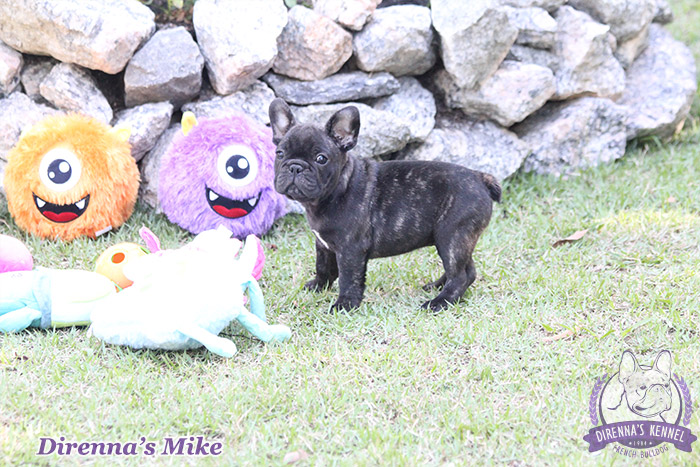 mike3