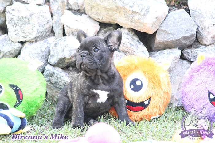 mike4