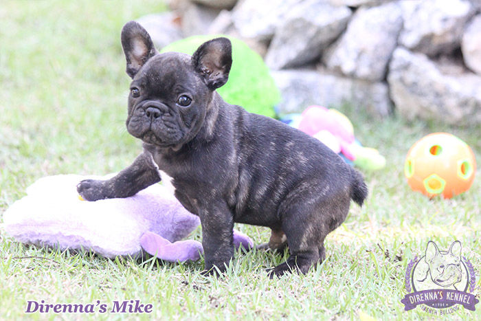 mike5