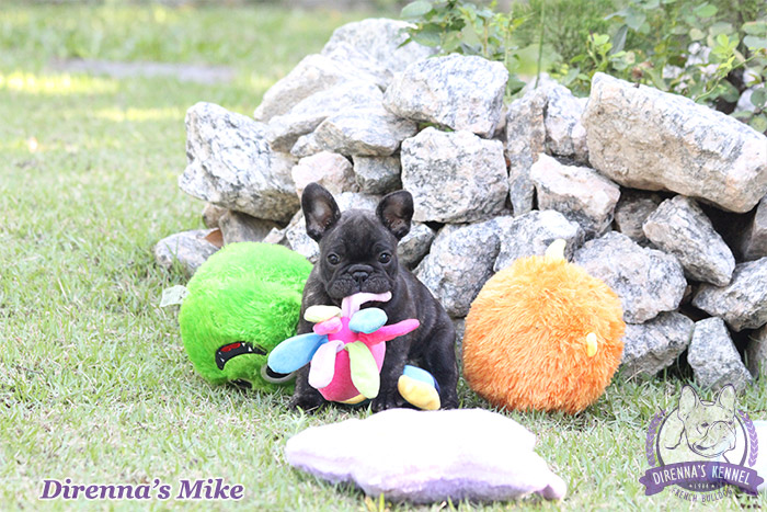 mike7