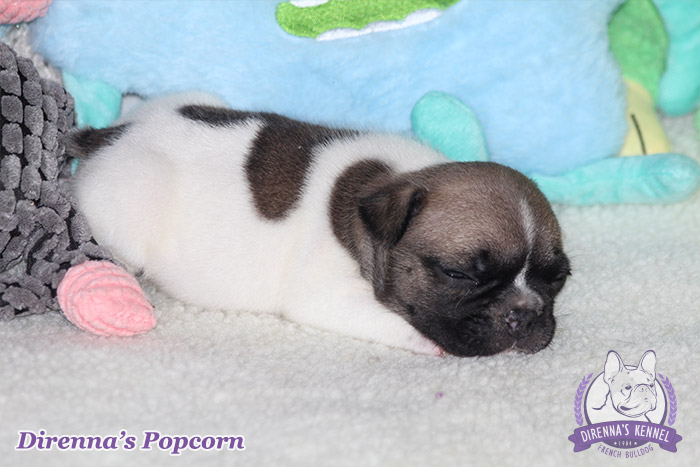 popcorn
