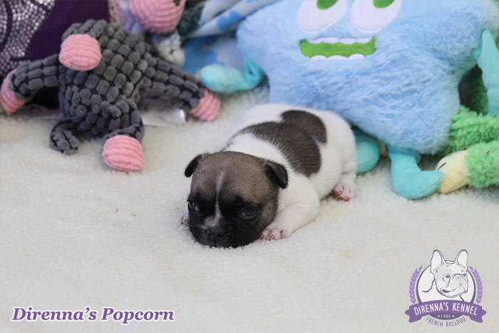 popcorn1