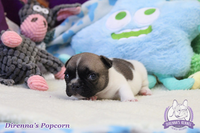 popcorn2