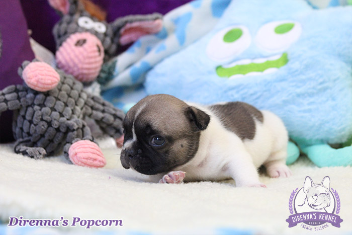 popcorn3