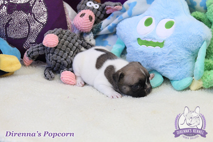 popcorn4