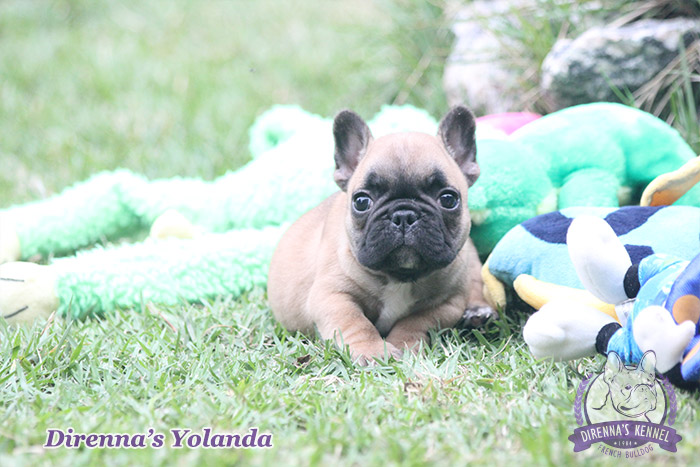 yolanda6