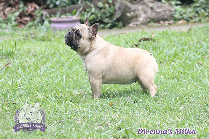 milka2